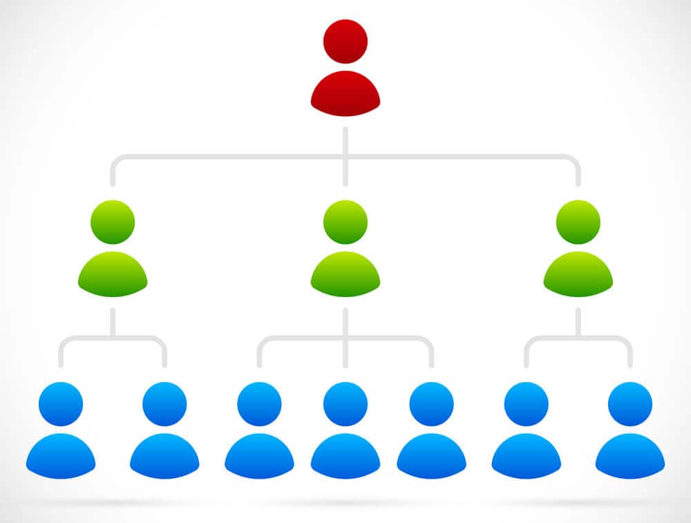 Matrix organisational structure - sufimohamed