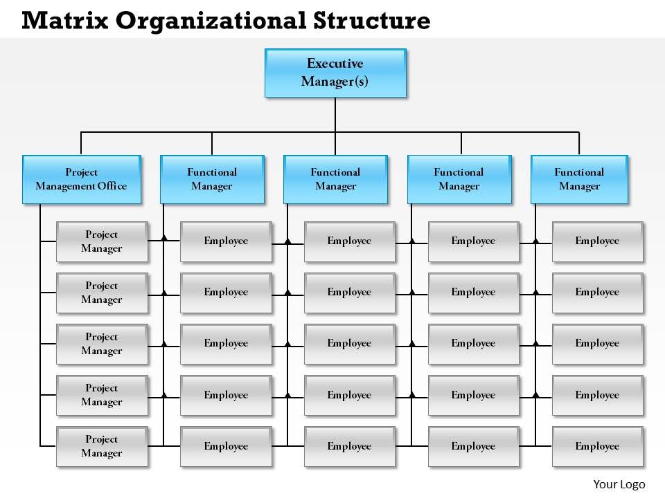 Matrix organisational structure - sufimohamed