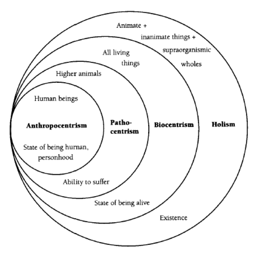 environmental ethics in contention