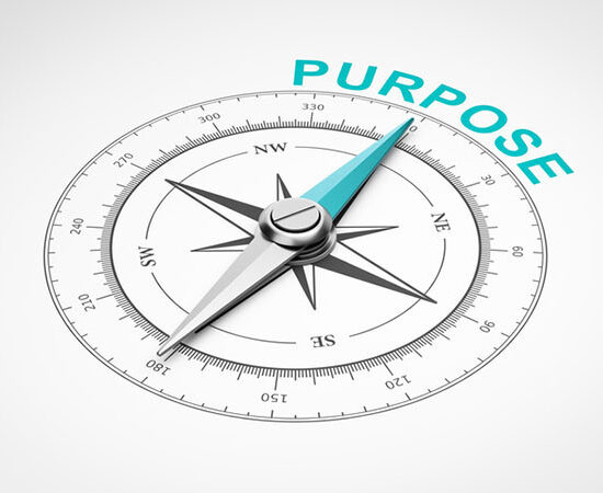 purpose, life, love, knowledge