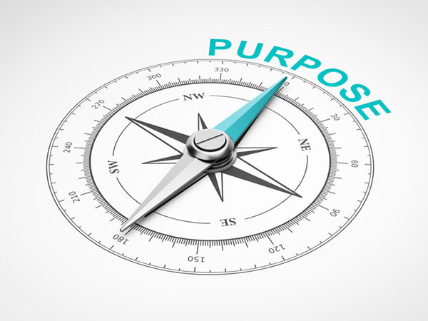 purpose, life, love, knowledge