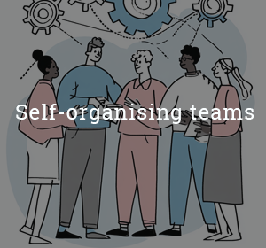 Self-organising teams