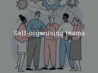Self-organising teams