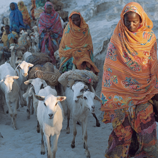 Somali Women Traders and the War