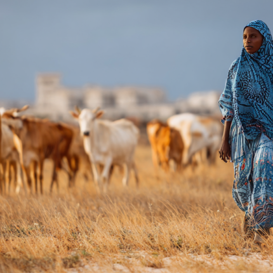 Somalia economy