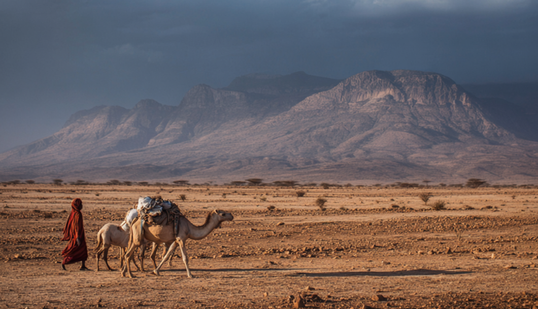 Somalian Society and Environment