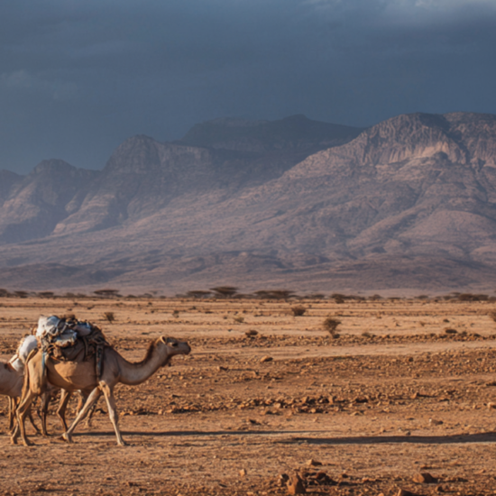 Somalian Society and Environment